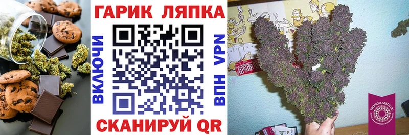 Canna-Cookies марихуана  Купить  Черемхово 