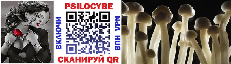 Купить закладки  Черемхово  Псилоцибиновые грибы GOLDEN TEACHER 